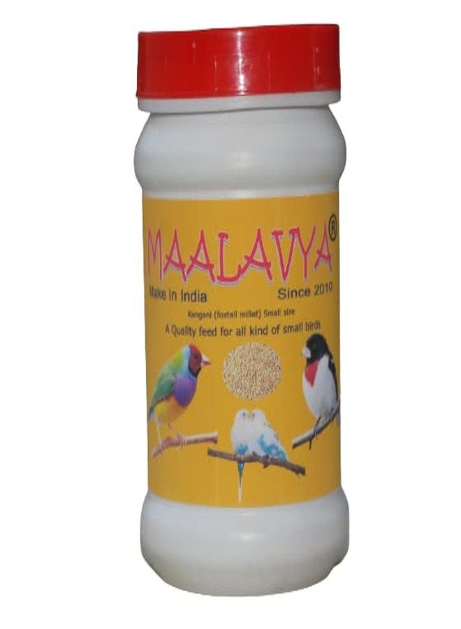 Maalavya Birds Feed/Food Kangani Foxtail Millet (Small Size) Bird Feed Specialsts 300 Grams - Image 1